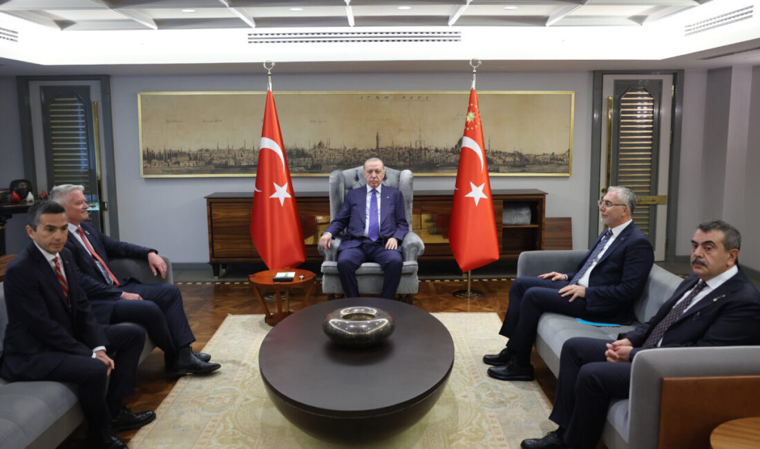 Tuğçe SEZER ODABAŞI/İSTANBUL, – CUMHURBAŞKANI Erdoğan, ‘OECD 2026 Beceriler Zirvesi’