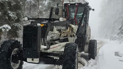 ERZURUM, – ERZURUM, Kars ve Muş’ta hafta sonu etkili olan