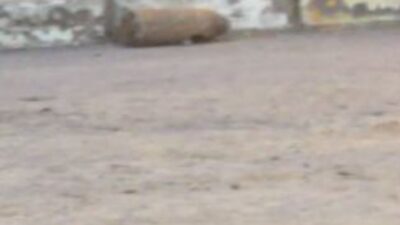 Baran AKKAYA-Emin YEŞİL/İSTANBUL, – EYÜPSULTAN’da doğal gaz kazı çalışması yapan