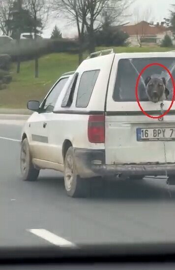 Yavuz YILMAZ/ İNEGÖL(Bursa), – BURSA’nın İnegöl ilçesinde seyir halinde olan