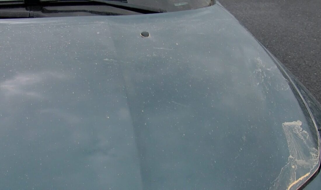 Gülseren KARAPINAR- Feridun AÇIKGÖZ / İSTANBUL, – İSTANBUL’da Afrika üzerinden