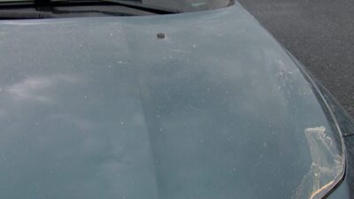 Gülseren KARAPINAR- Feridun AÇIKGÖZ / İSTANBUL, – İSTANBUL’da Afrika üzerinden