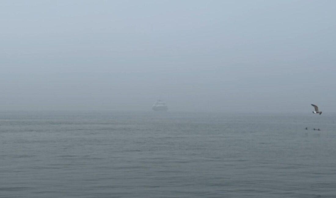 Mehmet Kaan KURT/İSTANBUL, – İSTANBUL’da sabah saatlerinde sis etkili oldu.