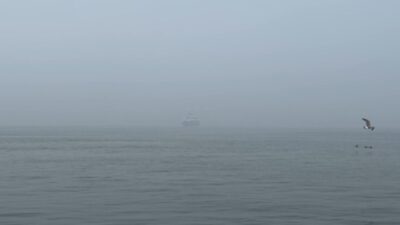 Mehmet Kaan KURT/İSTANBUL, – İSTANBUL’da sabah saatlerinde sis etkili oldu.