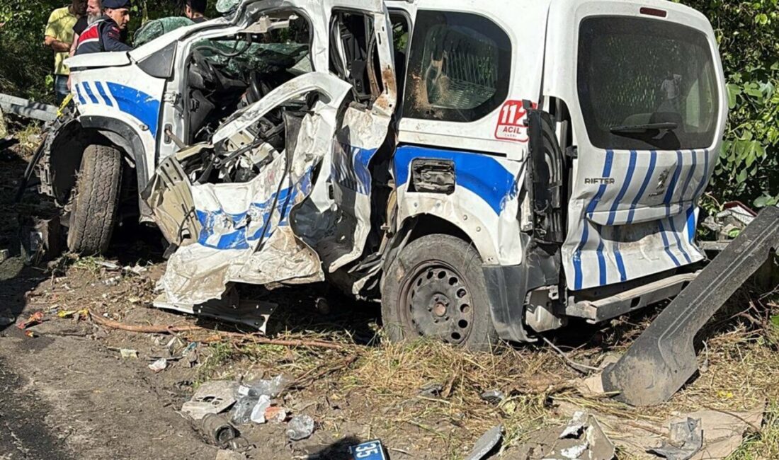 Tolga TAHÇI/ İZMİR, – İZMİR’in Bornova ilçesinde freni boşalan TIR’ın