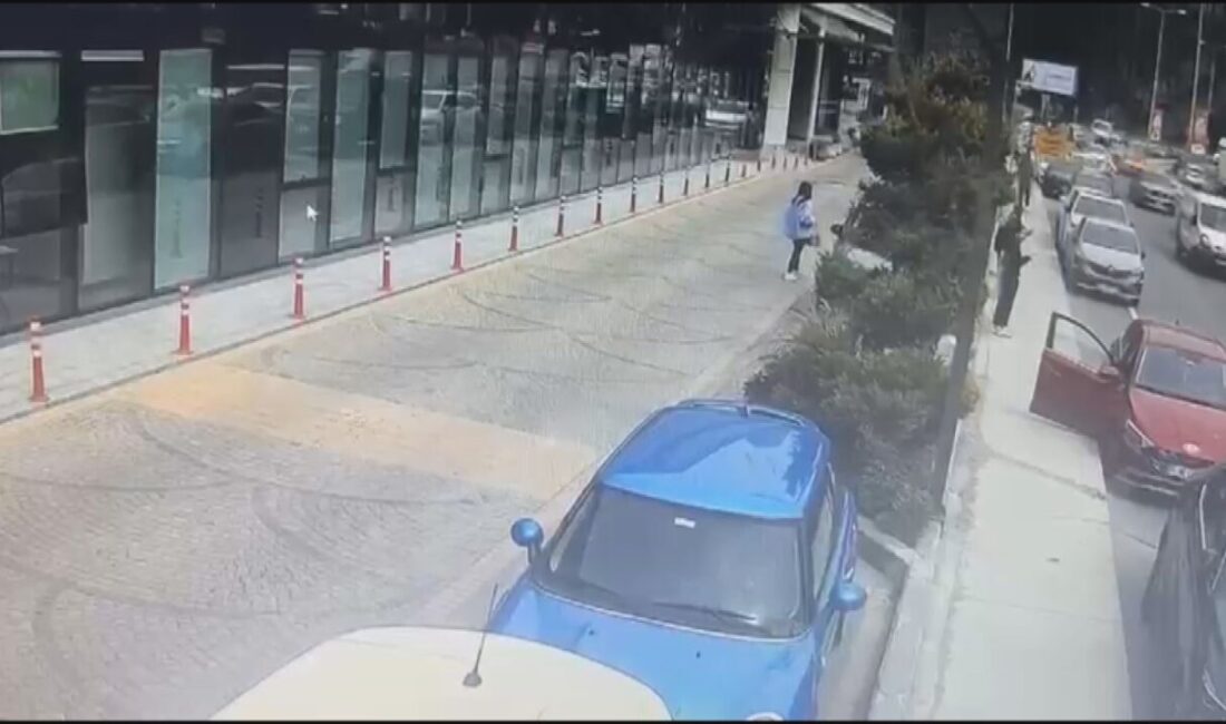 Doğan Can CESUR- Ayşe GÜREL/ İSTANBUL – KAĞITHANE’de Elifnur A.(20),