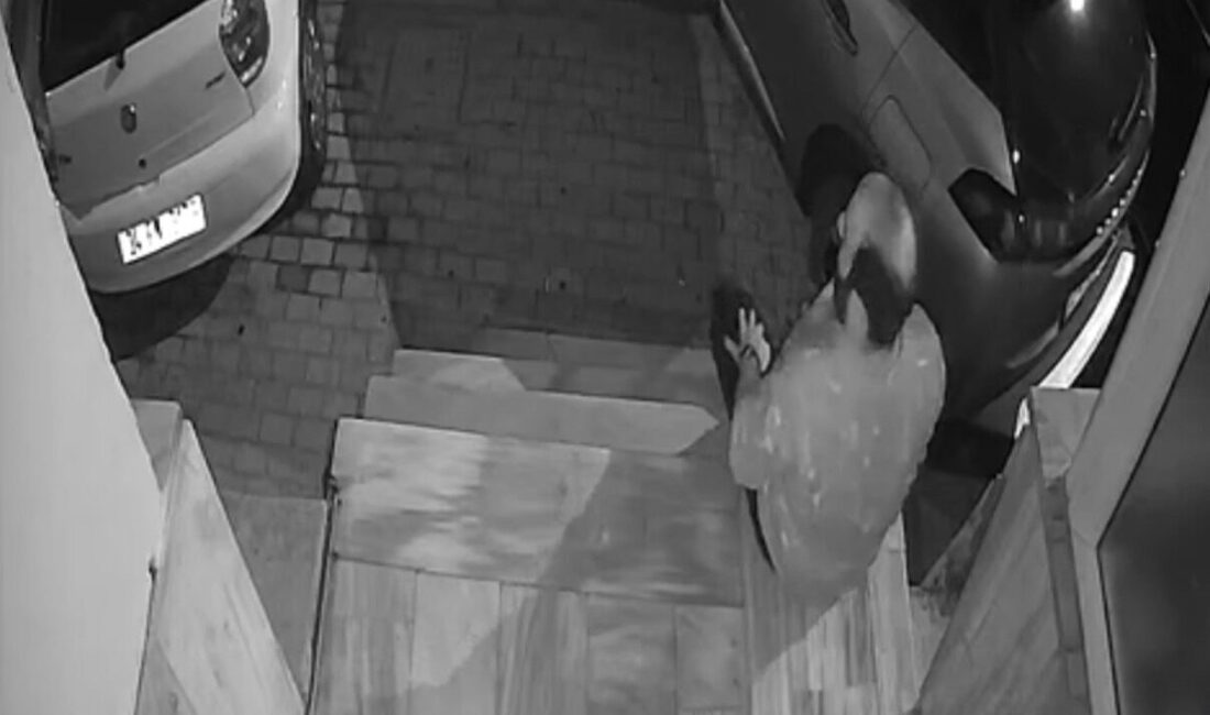 Doğan Can CESUR / İSTANBUL – KAĞITHANE’de Emre Kaya (31),