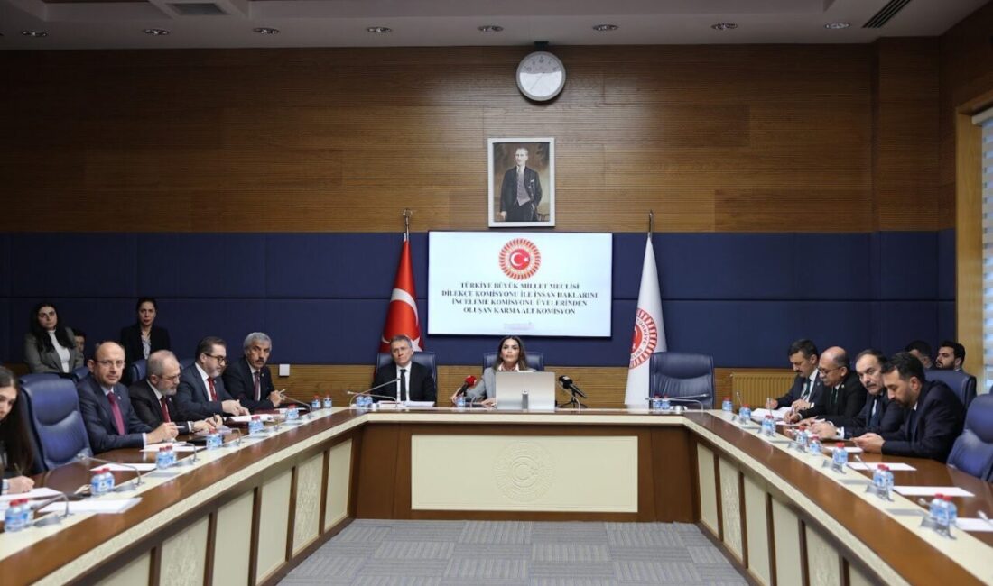 Aliekber METE/ANKARA, – TBMM Dilekçe Komisyonu ile İnsan Haklarını İnceleme