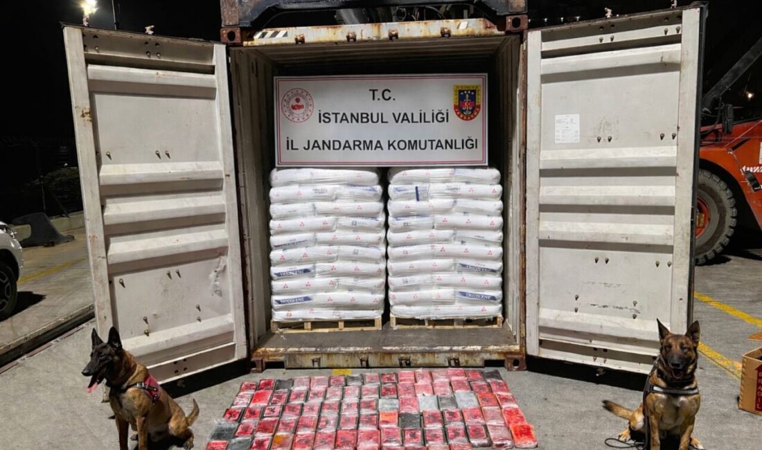 Kadircan GÜLER/ ANKARA, – BAKIRKÖY Cumhuriyet Başsavcılığı koordinesinde; MİT, jandarma