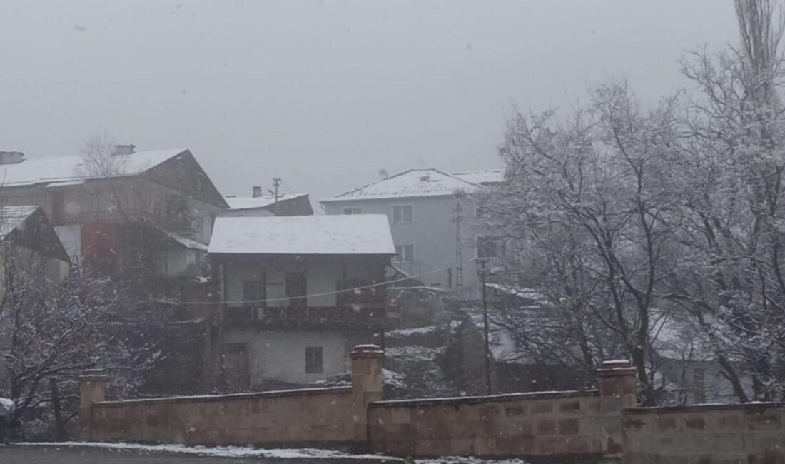 Alper TURGUT/POSOF (Ardahan), – ARDAHAN’ın Gürcistan sınırındaki ilçesi Posof’ta kar