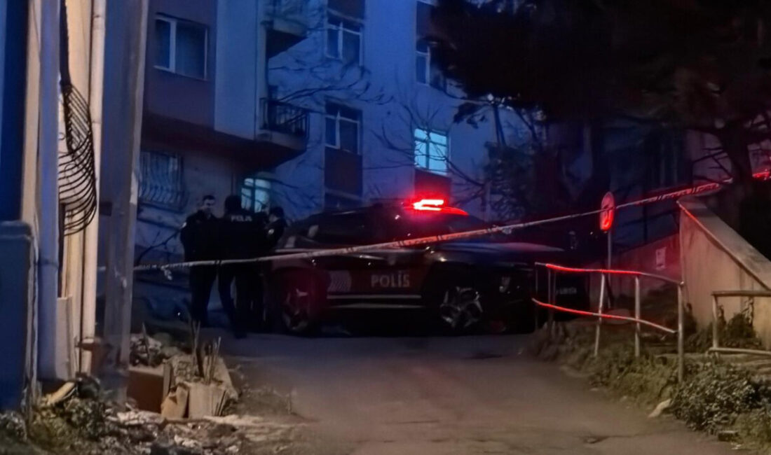 Doğan Can CESUR-Mehmet Kaan KURT / İSTANBUL – ŞİŞLİ’de metruk