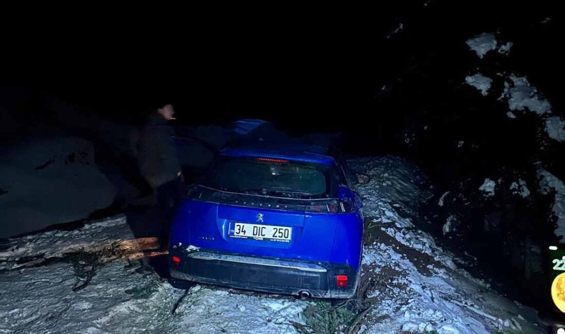 Mutlu YUCA/BOLU, – BOLU’da 1700 rakımlı yaylaya tatile gelen grup,