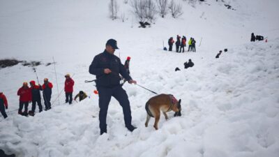 Fatih TÜYSÜZ/ARDANUÇ (Artvin), – ARTVİN’in Ardanuç ilçesi Aksu Yaylası’nda 31