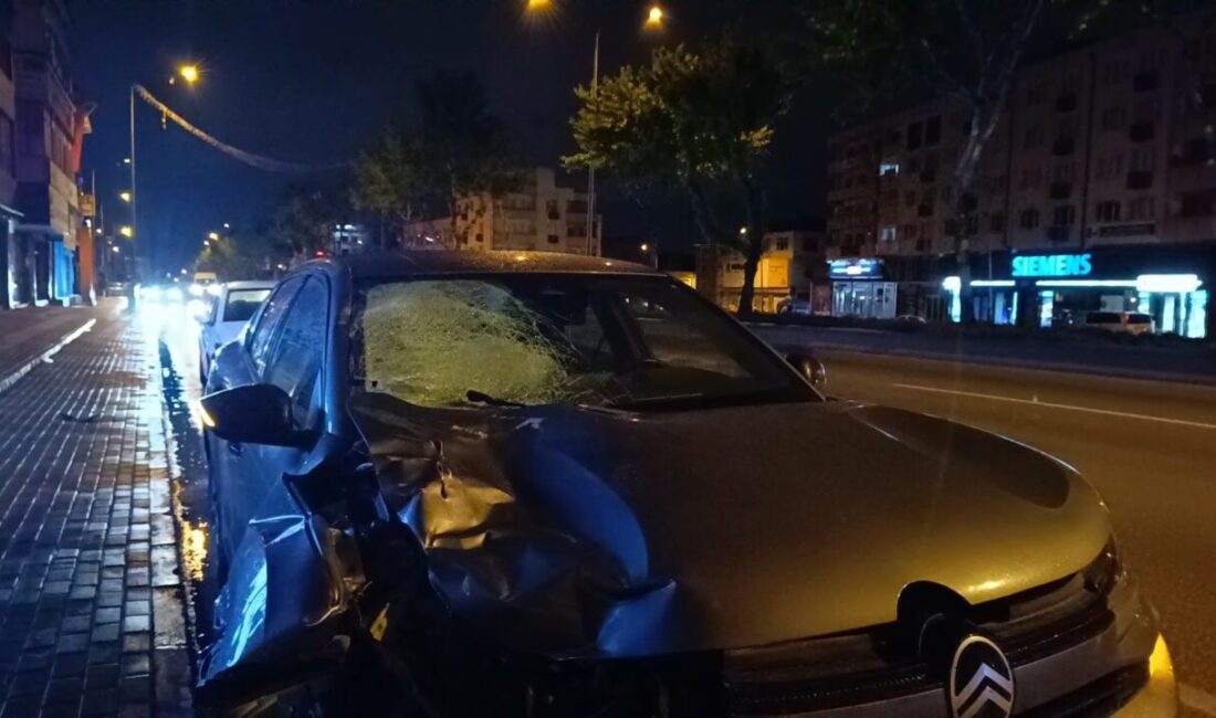 Barış YILMAZ/BURSA, – BURSA’nın Osmangazi ilçesinde yolun karşısına geçmeye çalışan
