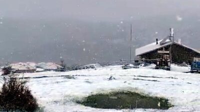 Müfit ONBAŞI/ANKARA, – ANKARA’nın Çubuk ilçesinde yüksek kesimlere, mayıs ayında
