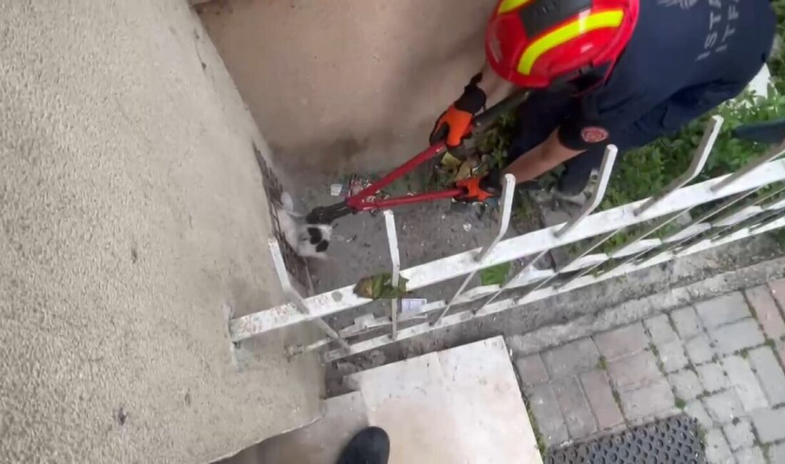 İhsan DÖRTKARDEŞ / İSTANBUL, – Avcılar’da mahsur kalan iki farklı