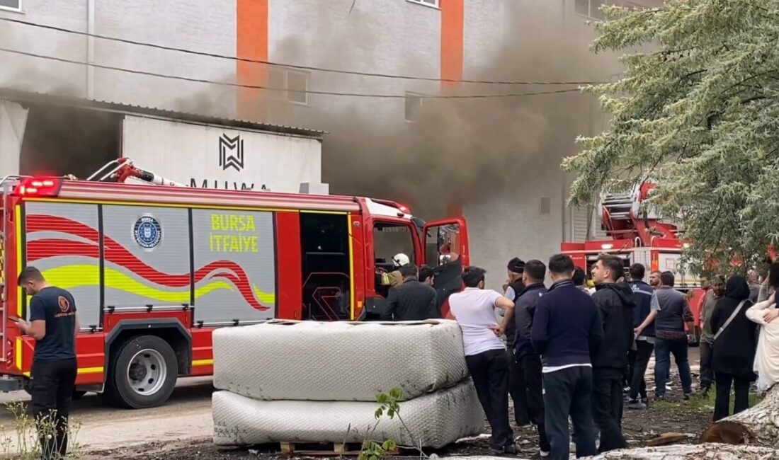 Yavuz YILMAZ/ İNEGÖL(Bursa), – BURSA’nın İnegöl ilçesinde faaliyet gösteren bir