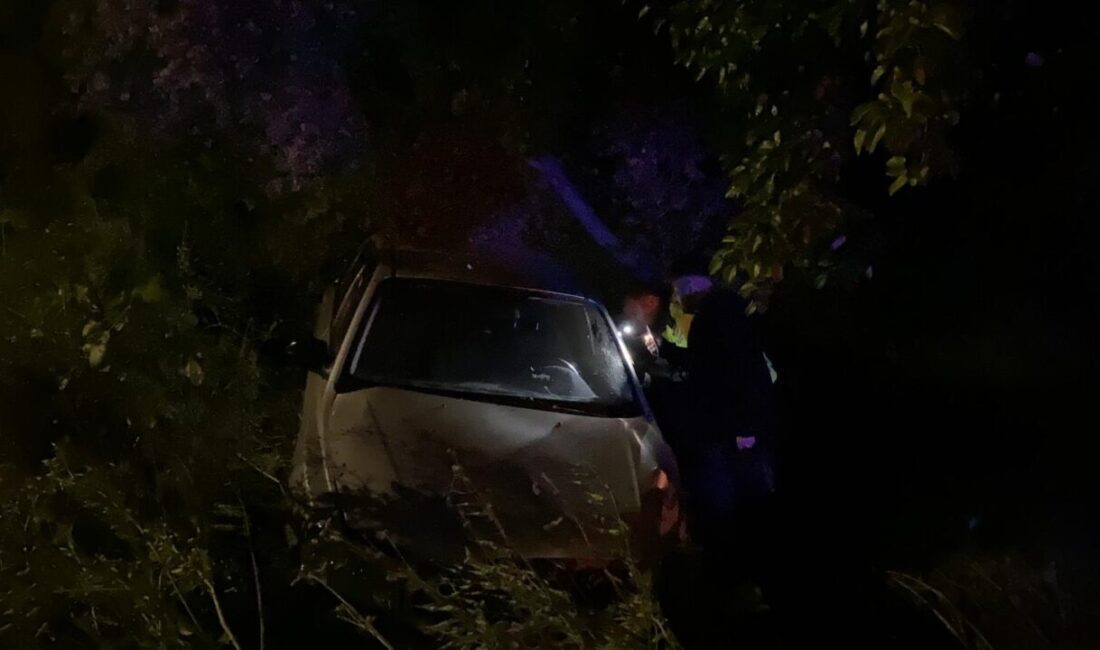Semih TÜRKER/İZNİK (Bursa), – BURSA’nın İznik ilçesinde otomobilin yol kenarındaki
