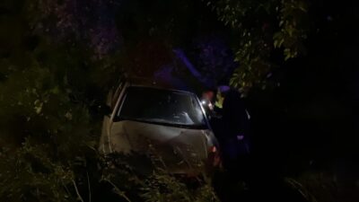 Semih TÜRKER/İZNİK (Bursa), – BURSA’nın İznik ilçesinde otomobilin yol kenarındaki