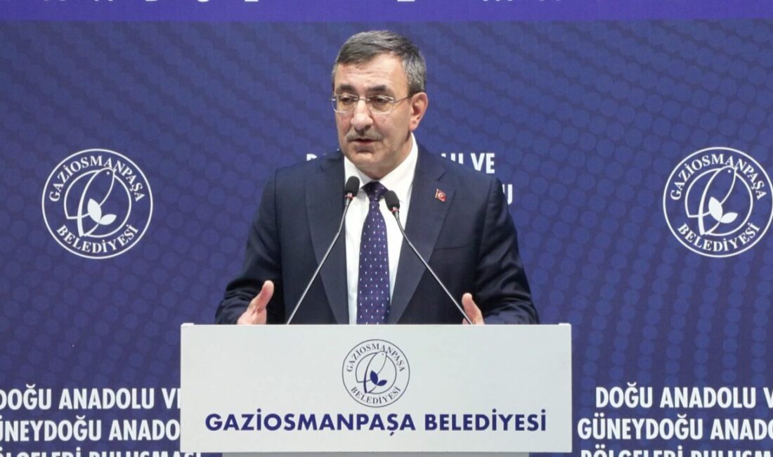 Esra GÜNTEPE- Hadican EROL / İSTANBUL, – Cumhurbaşkanı Yardımcısı Cevdet