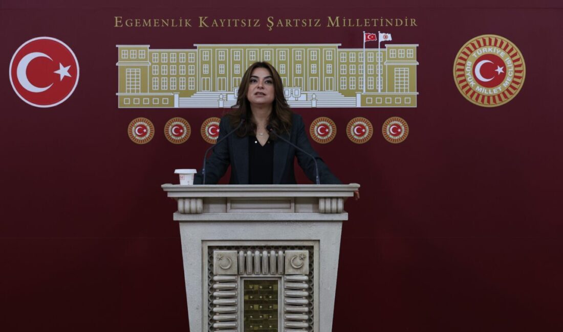 Aliekber METE/ANKARA, – DEM Parti Grup Başkanvekili Gülistan Kılıç Koçyiğit,
