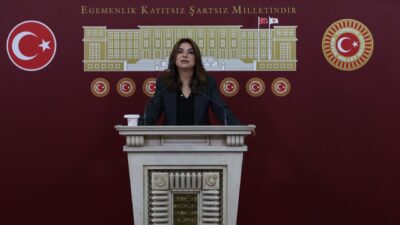 Aliekber METE/ANKARA, – DEM Parti Grup Başkanvekili Gülistan Kılıç Koçyiğit,