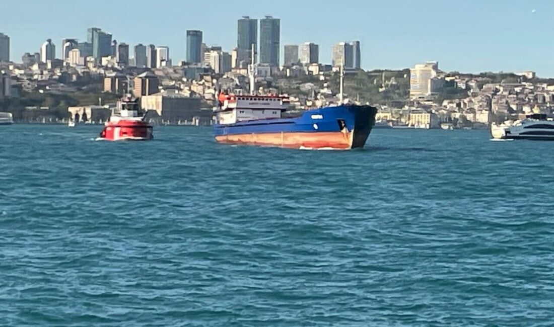 İSTANBUL, – İSTANBUL Boğazı’ndan geçiş yapan Panama bayraklı ‘Queen Bee’