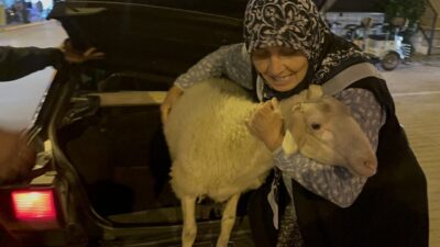 Semih TÜRKER/İZNİK (Bursa), – BURSA’nın İznik ilçesinde Müyesser Sevinç’in (58)