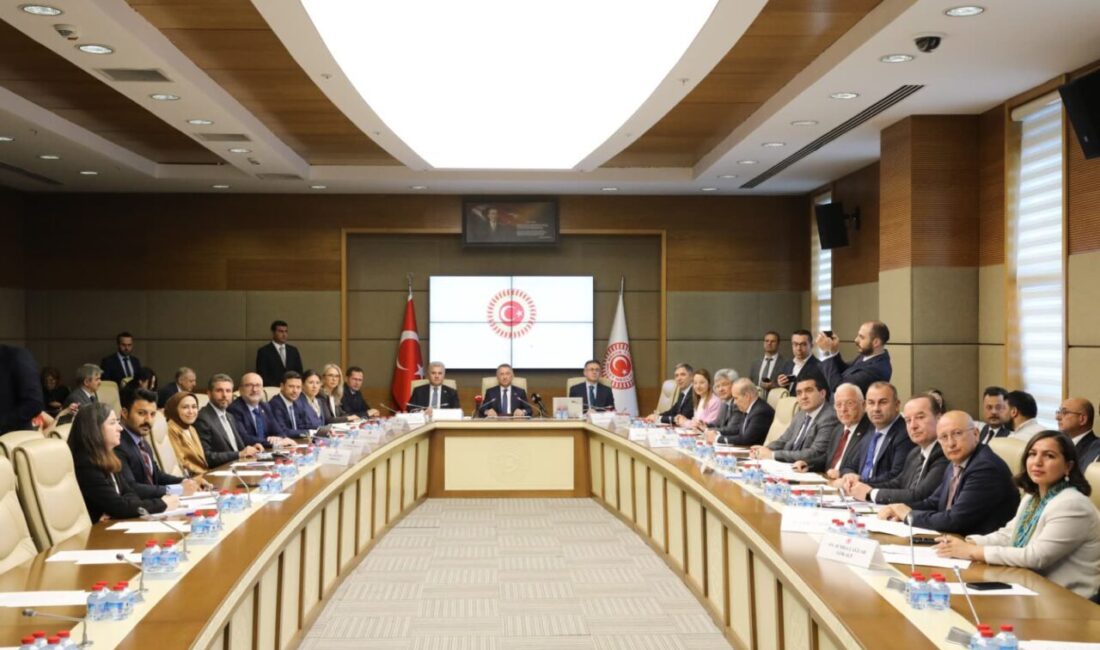 Aliekber METE/ANKARA, – TBMM Dışişleri Komisyonu Başkanı Fuat Oktay, “Türkiye