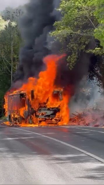 Doğan Can CESUR / İSTANBUL, – SARIYER, Bahçeköy orman yolunda