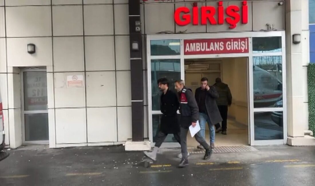 Ayşe GÜREL / İSTANBUL, – Dijital platformdaki bir yayında ‘Ayahuska