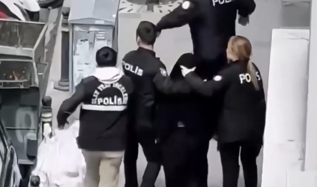 Doğan Can CESUR / İSTANBUL – ŞİŞLİ’ de Menekşe K.