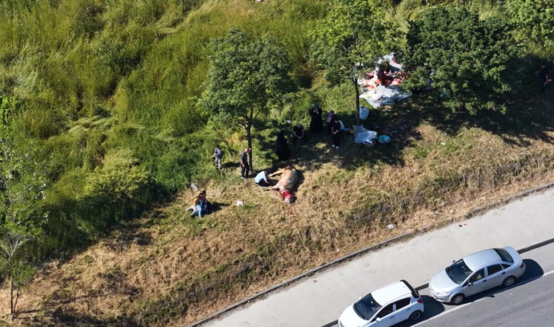 Sultangazi’de kurbanlıkları yol kenarları ve parklarda kestiler Ali AKSOYER- Emin