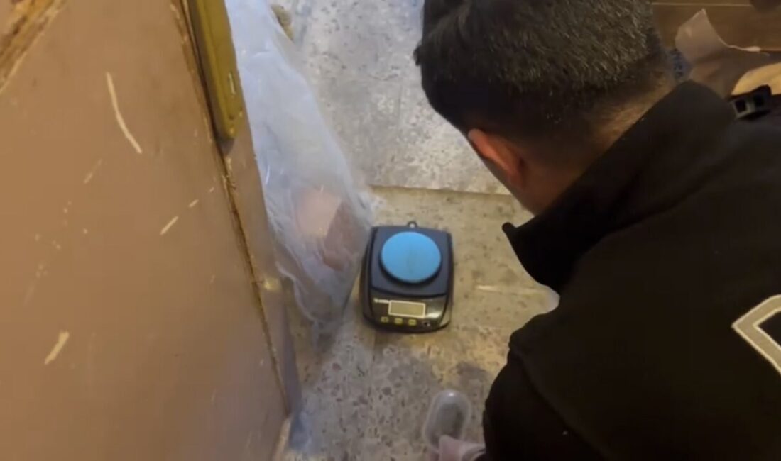 Doğan Can CESUR / İSTANBUL – BELGRAD Ormanı’ndaki yürüyüş yolunda