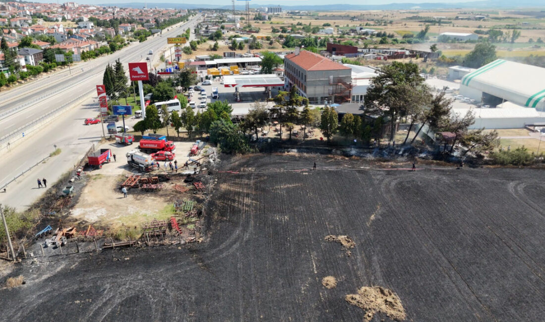 Ünsal YÜCEL/KEŞAN (Edirne), – EDİRNE’nin Keşan ilçesinde buğday tarlasında çıkan