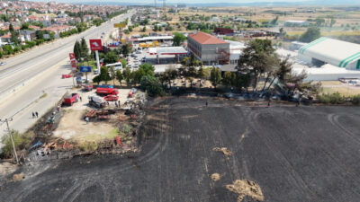 Ünsal YÜCEL/KEŞAN (Edirne), – EDİRNE’nin Keşan ilçesinde buğday tarlasında çıkan