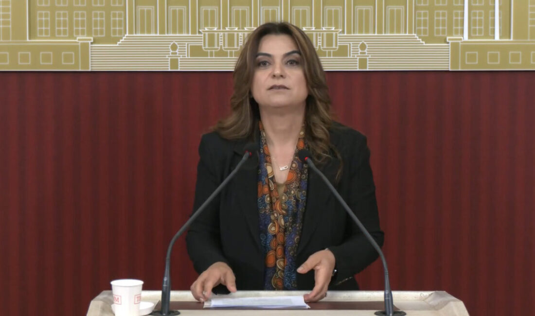 Aliekber METE/ANKARA, – DEM Parti Grup Başkan Vekili Gülistan Kılıç