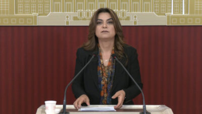 Aliekber METE/ANKARA, – DEM Parti Grup Başkan Vekili Gülistan Kılıç