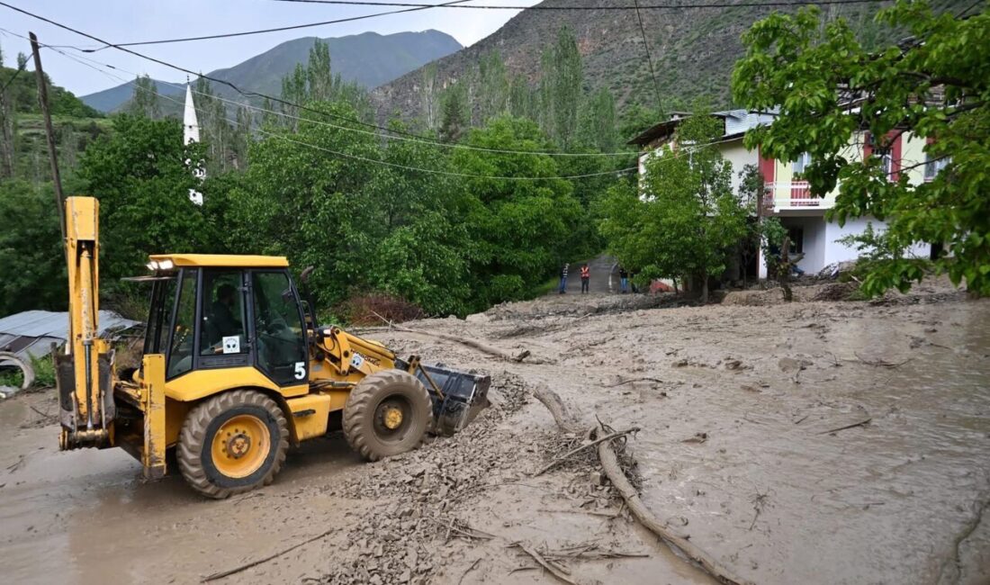 Yunus AKGÜL/ ERZURUM, – ERZURUM’un Tortum ilçesinde etkili olan yoğun