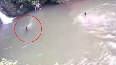 Fatih TÜYSÜZ/ARHAVİ (Artvin), – ARTVİN’in Arhavi ilçesinde serinlemek için girdikleri
