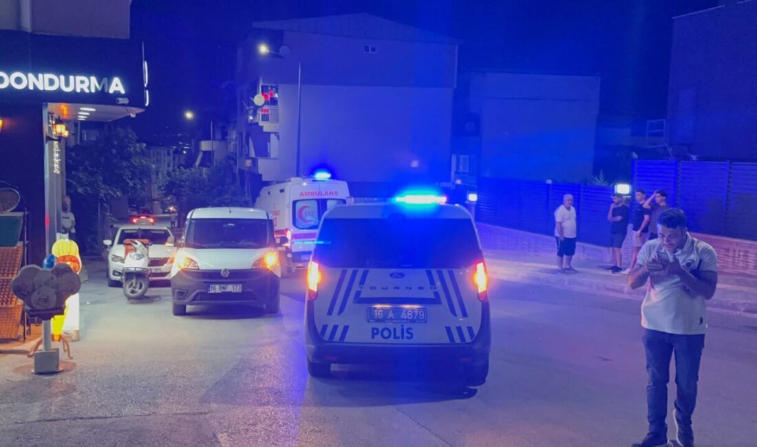 Yiğithan HÜYÜK – Semih TÜRKER/BURSA, – BURSA’nın Yıldırım ilçesindeki bir