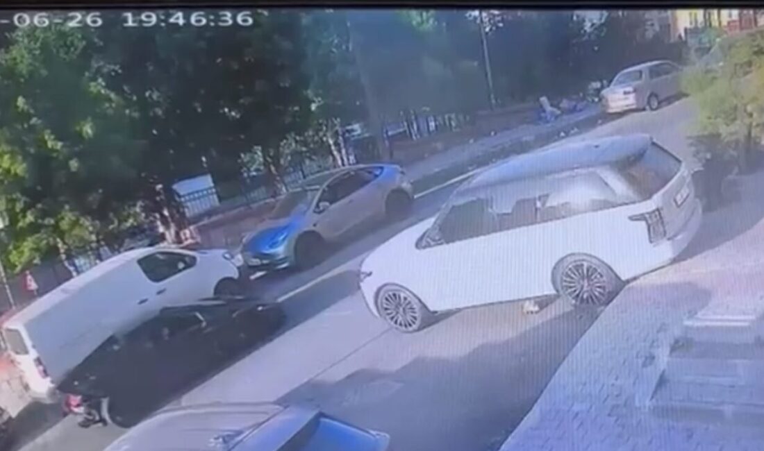 Doğan Can CESUR / İSTANBUL –KAĞITHANE’de galerici Bahadır G., yaklaşık