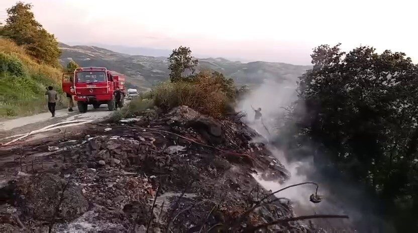 Kazım BULUT/GEMLİK (Bursa), – BURSA’nın Gemlik ilçesinde makilik alanda çıkan
