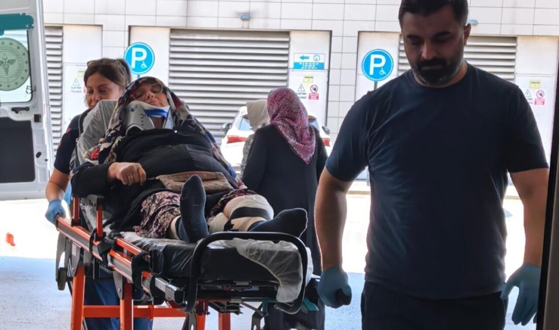 Yavuz YILMAZ/İNEGÖL (Bursa), – BURSA’nın İnegöl ilçesinde park halindeki otomobile