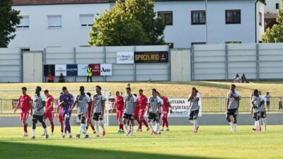 Ali DANAŞ / AVUSTURYA – BEŞİKTAŞ Futbol A Takımı, Slovakya