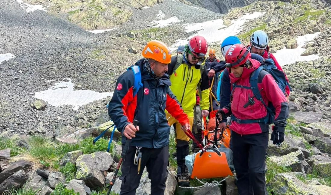 Mehmet Can PEÇE/ÇAMLIHEMŞİN (Rize), – RİZE’nin Çamlıhemşin ilçesindeki Verçenik Yaylası’nda