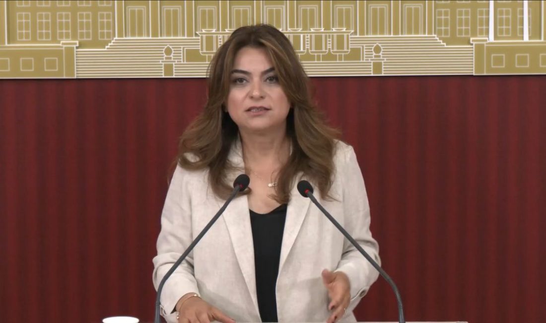 Aliekber METE-Muhammet BAYRAM/ANKARA, – DEM Parti Grup Başkan Vekili Gülistan