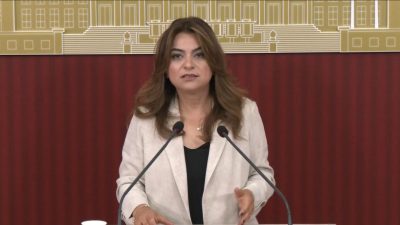 Aliekber METE-Muhammet BAYRAM/ANKARA, – DEM Parti Grup Başkan Vekili Gülistan