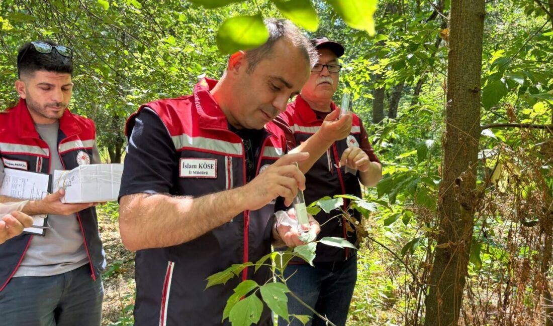 EDİRNE, -EDİRNE’de tarımsal üretimi tehdit eden zararlılara karşı yürütülen biyolojik