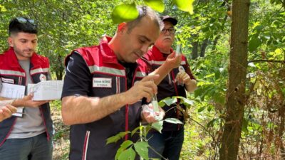 EDİRNE, -EDİRNE’de tarımsal üretimi tehdit eden zararlılara karşı yürütülen biyolojik